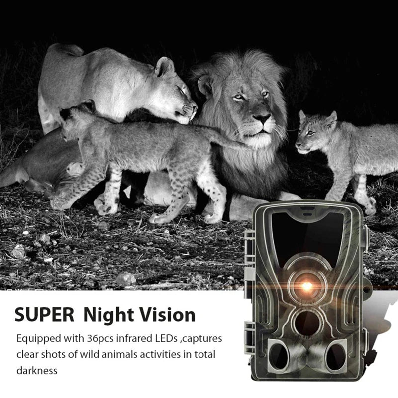 SUNTEKCAM HC-801A 20MP Trail Camera – 1080P Night Vision Wildlife Cam IP65