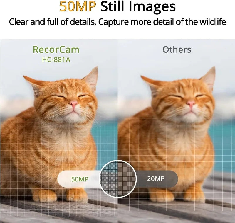 SUNTEKCAM HC-881A 24MP 2.7K Trail Camera with Night Vision & Motion Detection – IP65 Waterproof