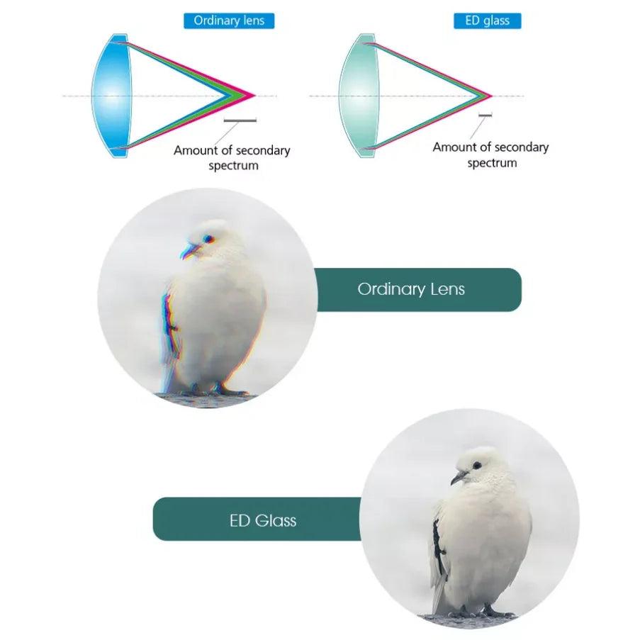 SVBONY SV202 ED Binoculars – Waterproof BAK4 Optics for Birdwatching & Stargazing