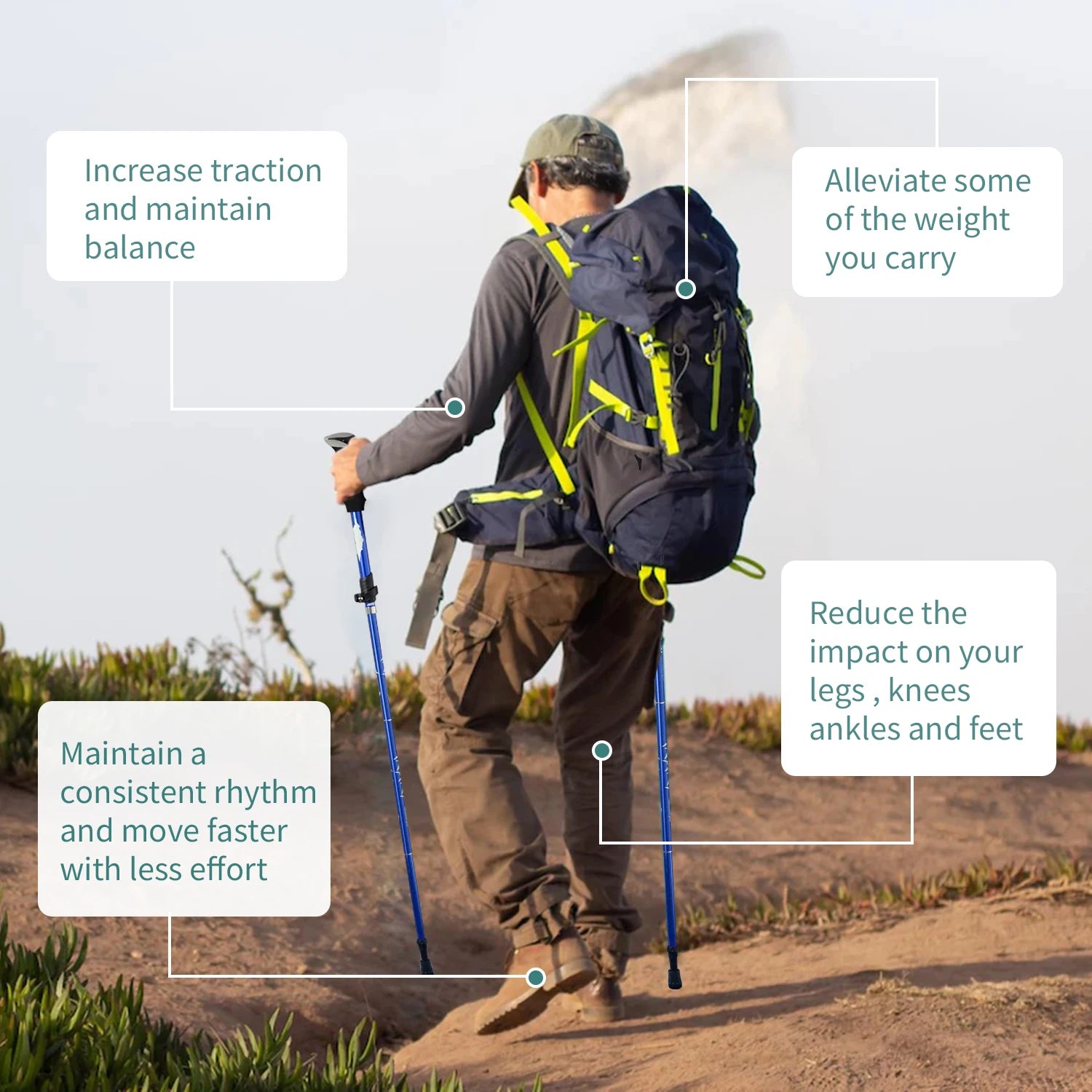 WESTTUNE 5-Section Telescopic Trekking Pole – Lightweight Adjustable Hiking & Walking Stick