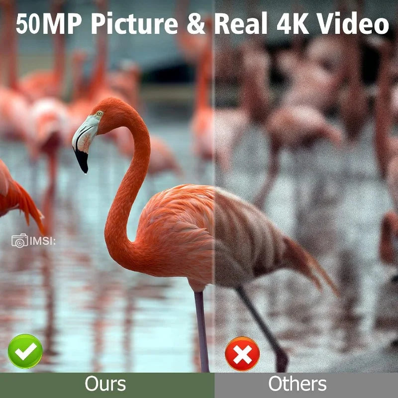 SUNTEKCAM 50MP 4K Solar Trail Camera with Night Vision & Motion Detection – IP66 Waterproof
