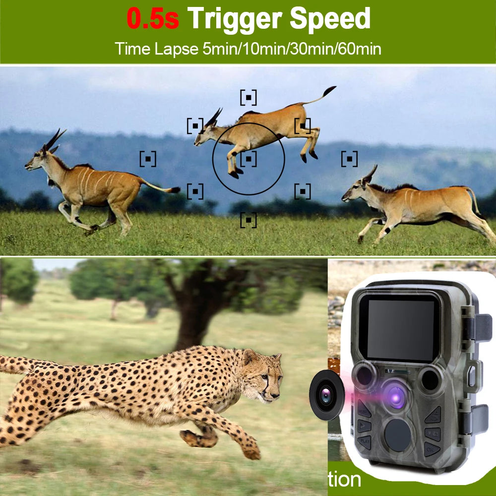 SUNTEKCAM MINI301 12MP Mini Trail Camera – 1080P Night Vision Waterproof