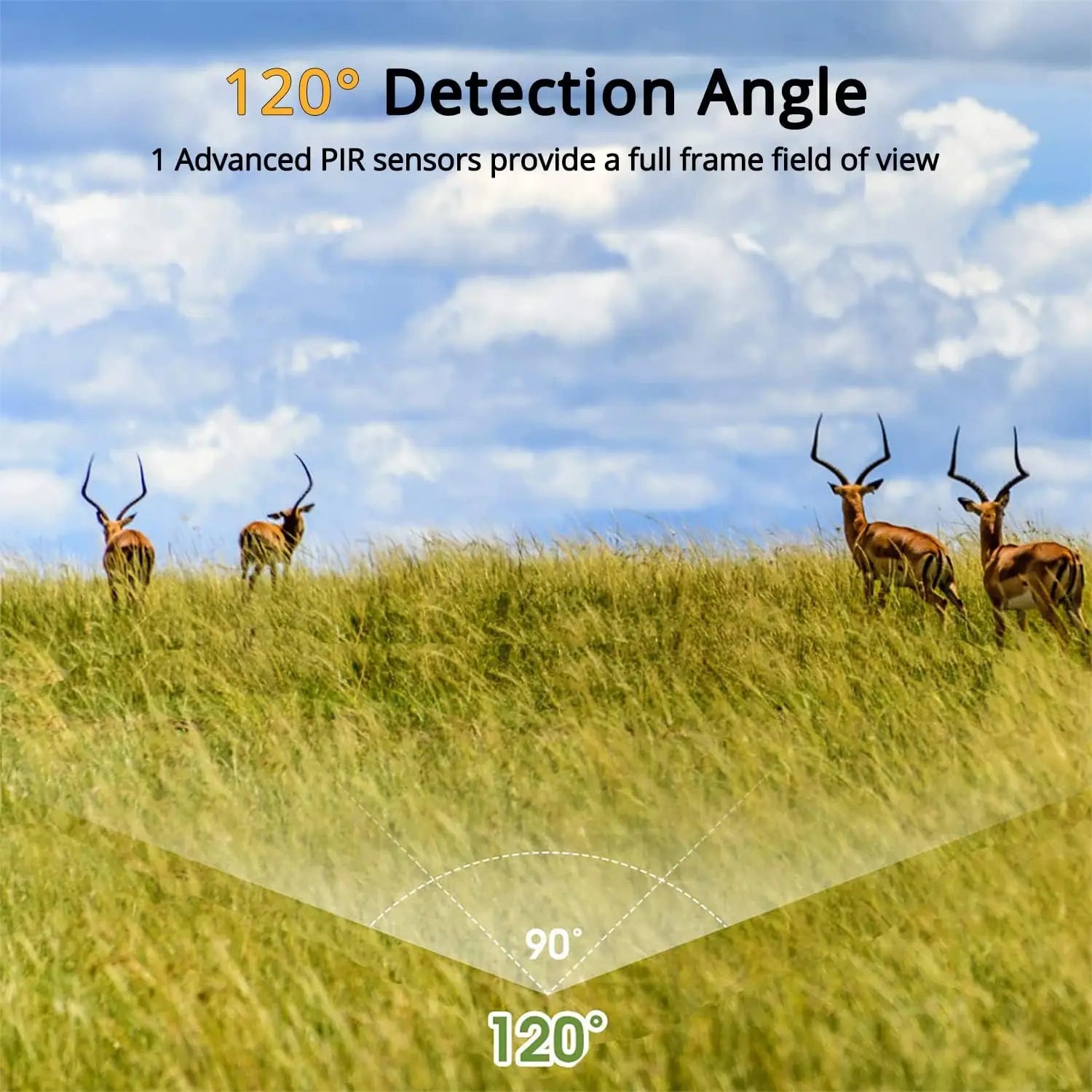 SUNTEKCAM HC-881A 24MP 2.7K Trail Camera with Night Vision & Motion Detection – IP65 Waterproof