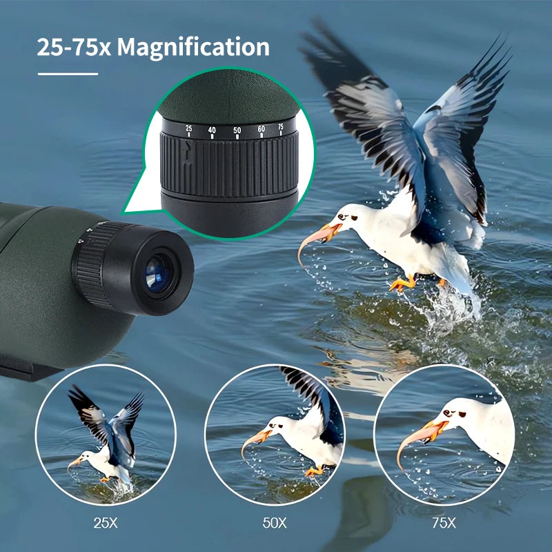 LOERSTON C8039 25-75x60 ED Lens Spotting Scope for Bird Watching and Camping