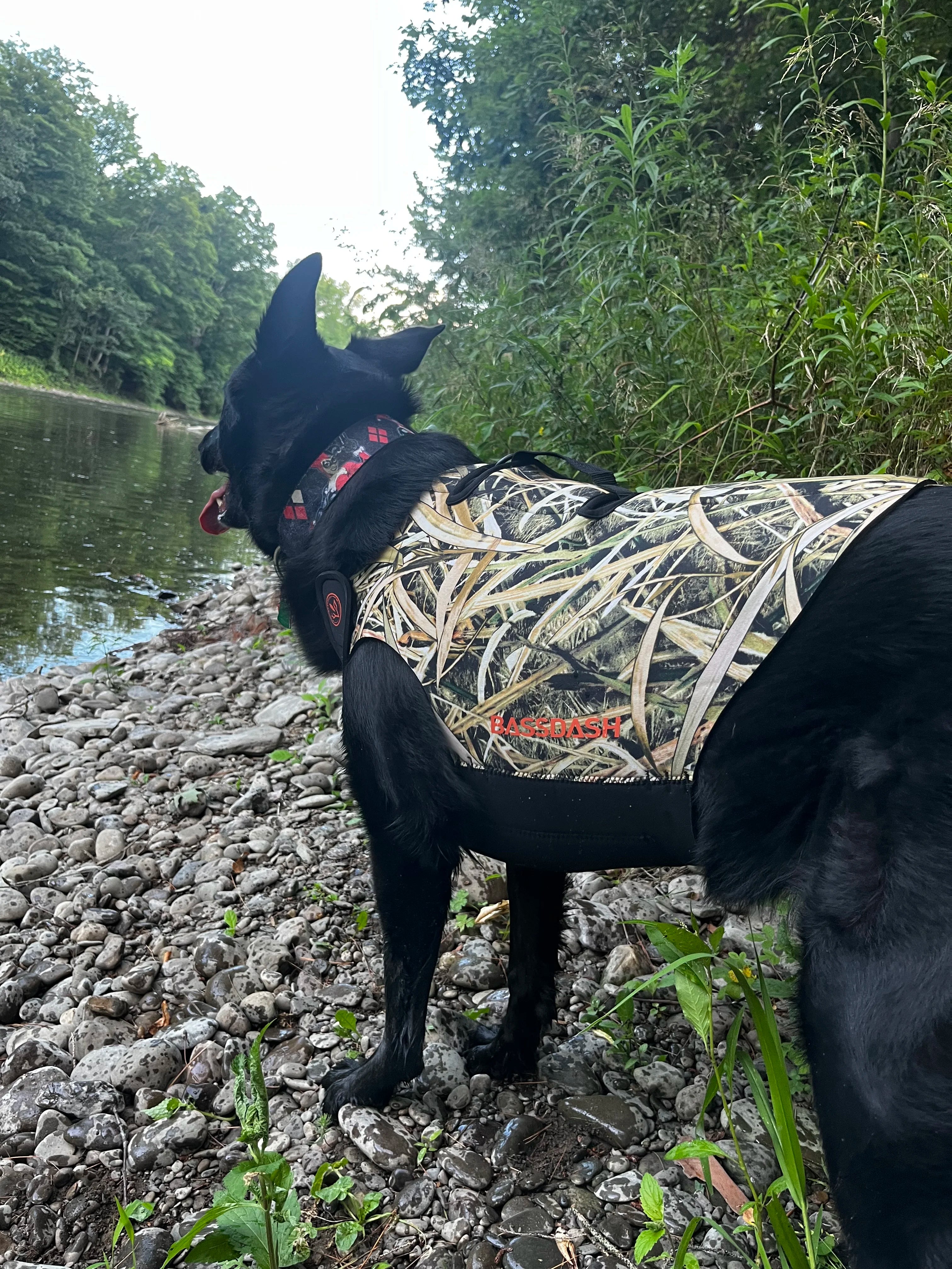 Bassdash Dog Camo Hunting Vest – Waterproof Neoprene Chest Protection, Adjustable and Durable