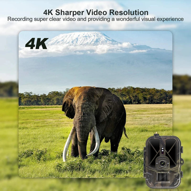 SUNTEKCAM 4G HD 4K Wireless Trail Camera – 50MP Wildlife Cam with Live Video & App Control