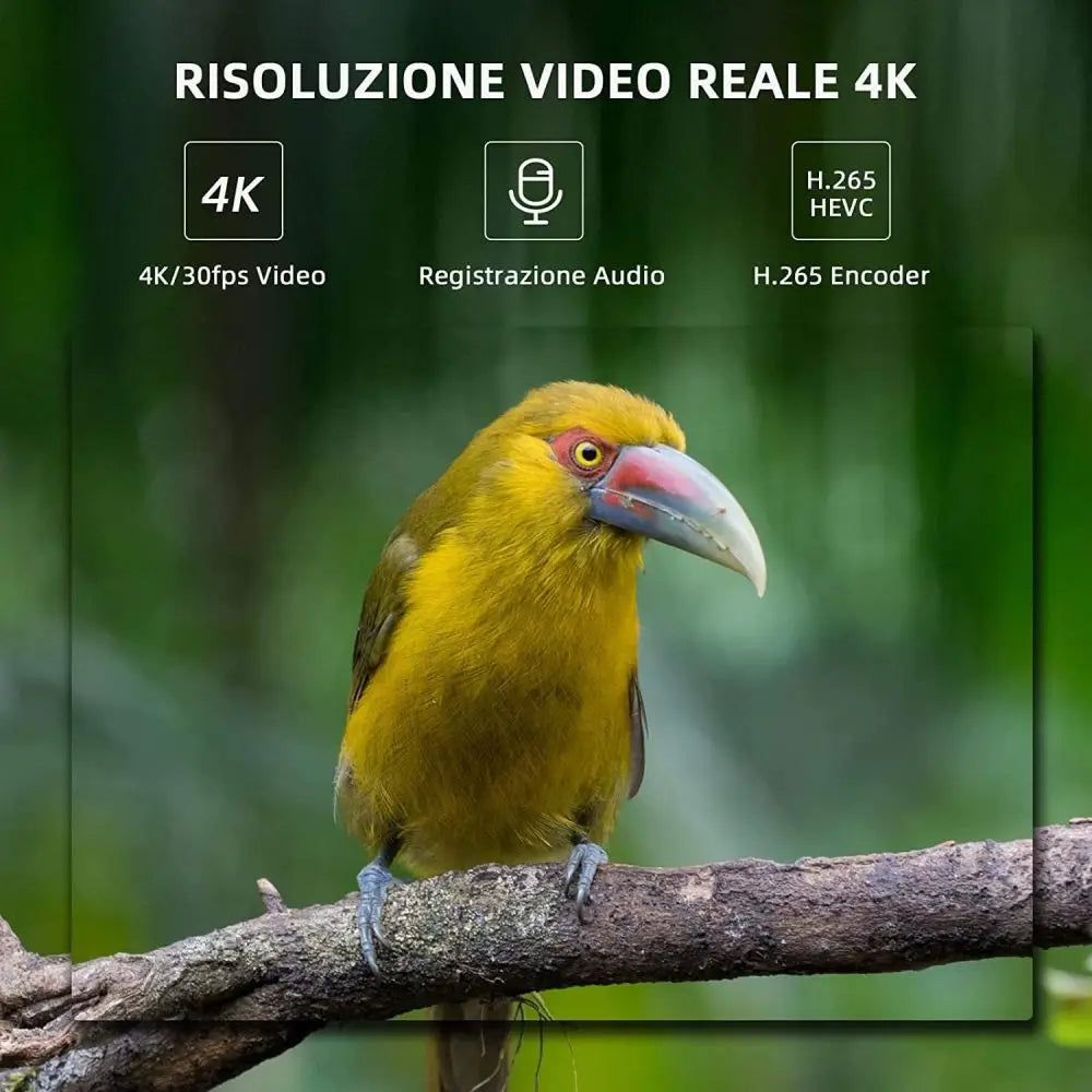 SUNTEKCAM WIFI810PRO 4K Trail Camera with Wi-Fi Live View, 36MP, Night Vision – IP66 Waterproof