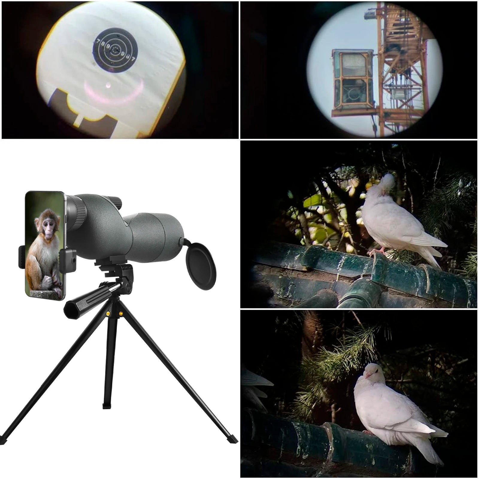XIYEAR LG70 25-75x60 Spotting Scope with Tripod for Bird Watching
