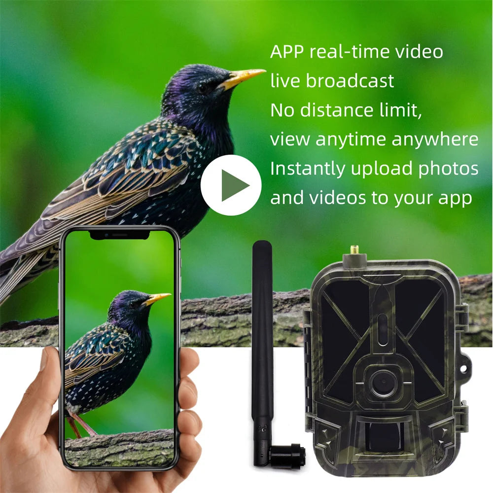 SUNTEKCAM 4G HD 4K Wireless Trail Camera – 50MP Wildlife Cam with Live Video & App Control